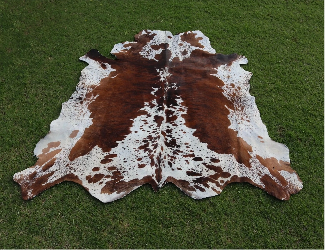 Authentic Animal Skin Rugs