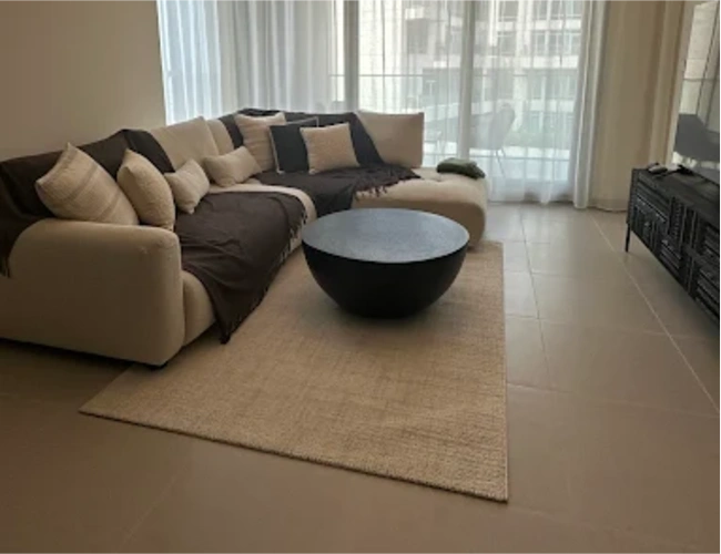 Stylish Area Rugs