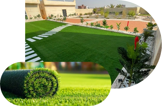 Lush green grass carpet Dubai.