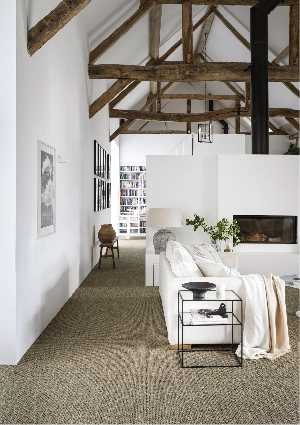 Wall to Wall Carpet for Living Room Dubai