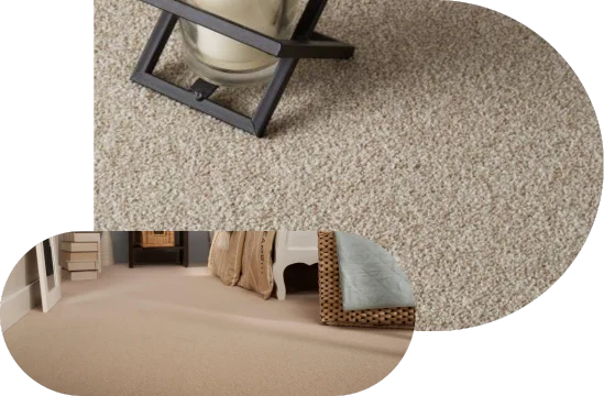 Light beige carpet flooring