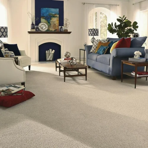 Soft carpet for cozy living rooms