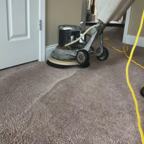 Deep Carpet Cleaning