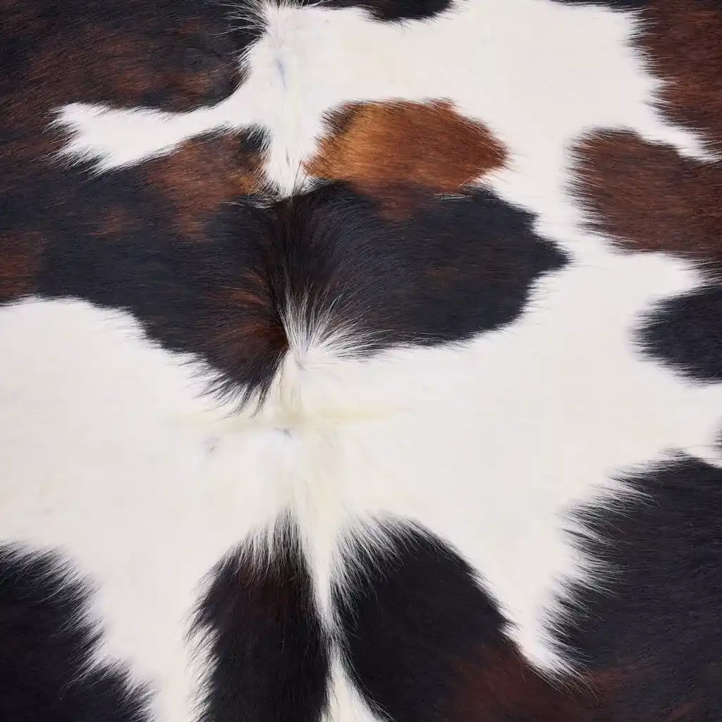 Rug-AUG