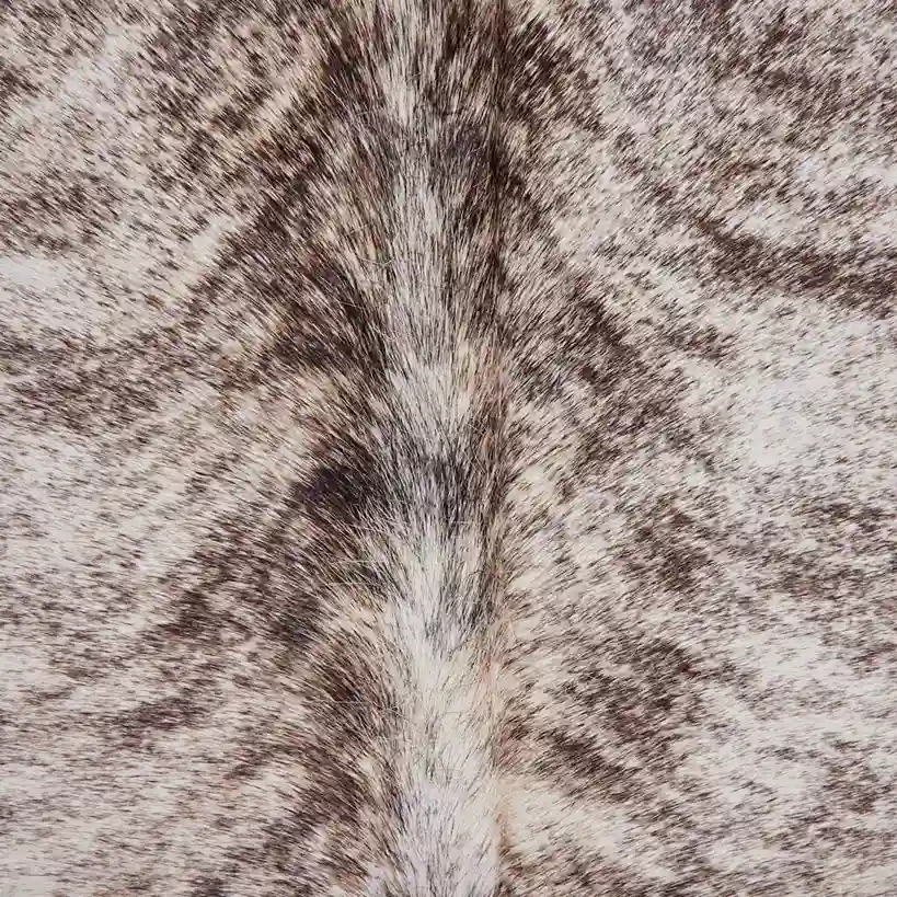 Rug-Aug21