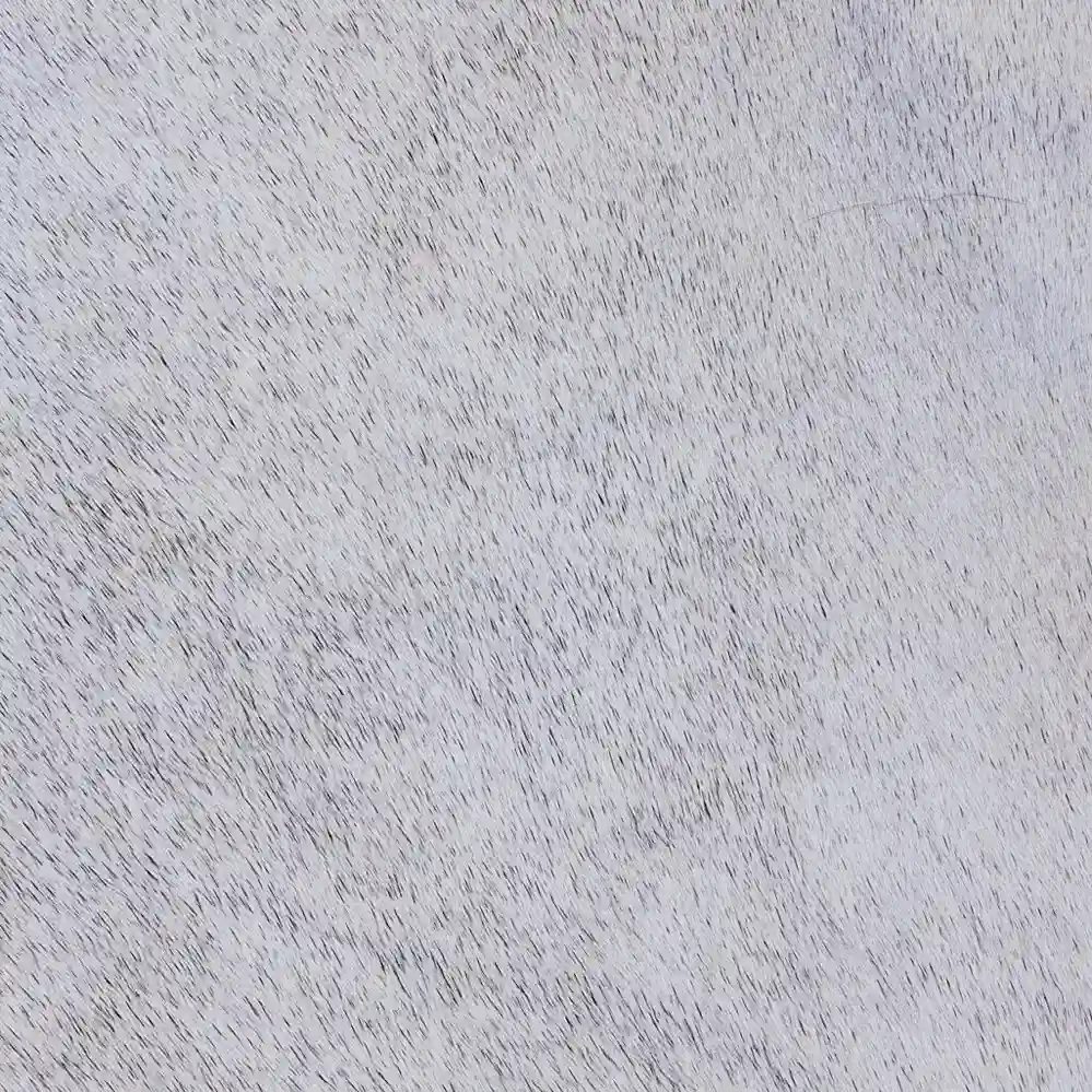 Rug-Aug24