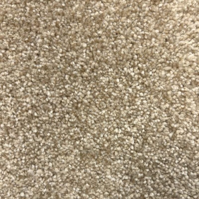 Abundance Driftwood Carpet