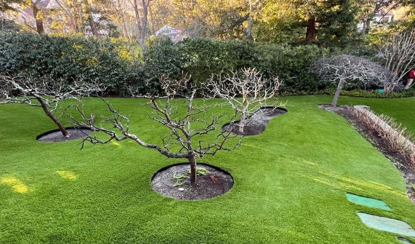 Artificial Grass Around Trees