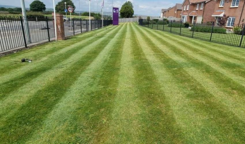 Artificial Grass Hybrid Landscape Design