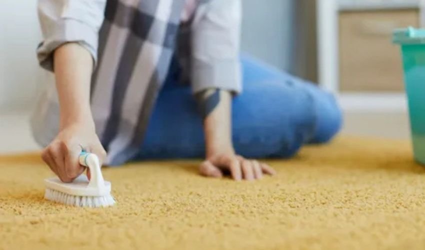 How To Clean Your Carpet at Home