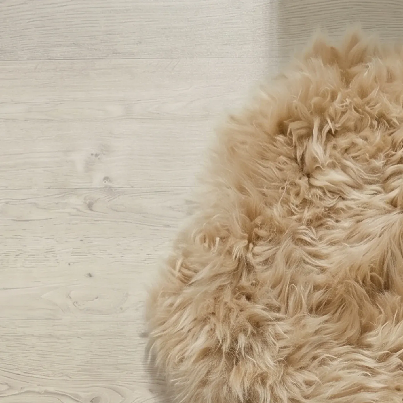 Champagne Beige Octo Sheepskin Rug