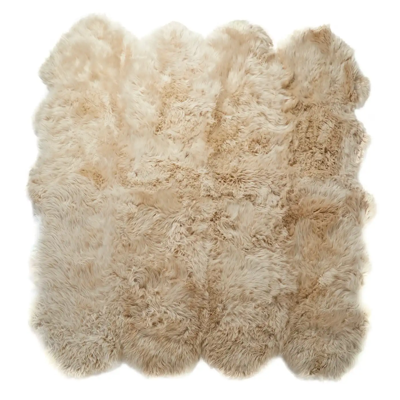 Champagne Beige Octo Sheepskin Rug